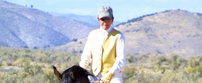 High Desert Equine - Mobile Veterinary Servicing Reno and Northern Nevada