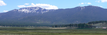 Spring Panorama in Nevada